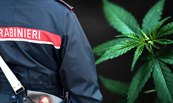 Droga nel cortile di elementari e infanzia: genitori sotto choc a Borgo Revel