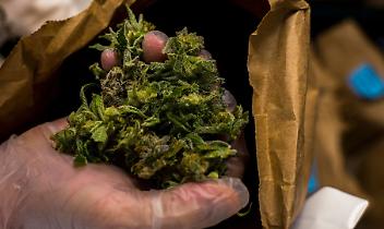 Duro colpo al narcotraffico