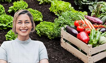 Fiera di San Martino, Chieri si prepara a cinque giorni di festa tra tradizione, sapori e identità