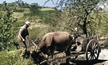 A Muriaglio la cultura si fa di prossimità: libri, memoria e vita di paese