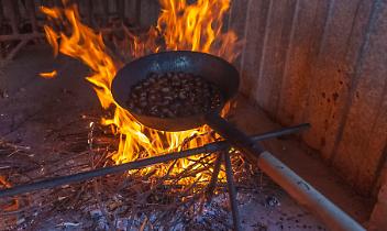 Chiaverano celebra l’autunno: torna la grande Castagnata tra boschi, musica e caldarroste