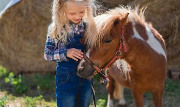 Cirié celebra la Fiera di San Martino