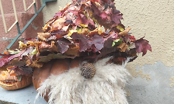 La zucca vincitrice del concorso "Decora la tua zucca"