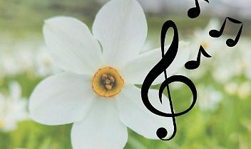 Il coro "I Piccoli Cantori della Valle Sacra" &egrave; nato a Cintano nel 2018