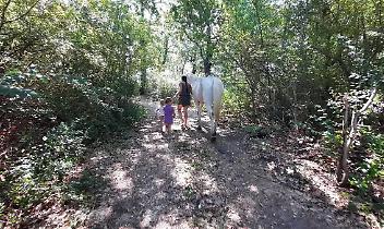 Non solo la famiglia di Palmoli: anche Lauriano, nel Chivassese, ha avuto il suo caso di minori che vivevano in un bosco