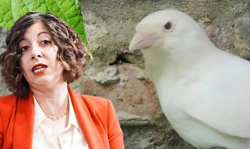 Sarah Disabato e Igor, la cornacchia albina