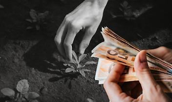 Borgaro, 5.000 euro per un'aiuola: scoppia la polemica. "E' inutile, pagano i cittadini!"