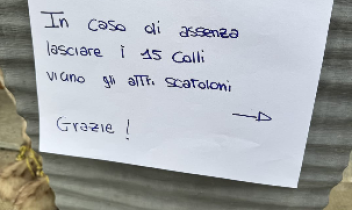 Quasi 600 chili di botti