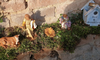 Casalborgone trasforma