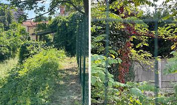 Dopo anni di abbandono qualcosa si muove