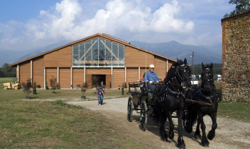 Sfratto alla Mandria: cacciati cavalli e tre asini da Cascina Rubianetta