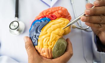 La terza via per l'Alzheimer