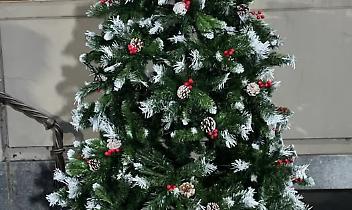 Nuovo albero di Natale