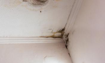 Infiltrazioni dall&rsquo;alloggio in affitto: quando il proprietario non risponde dei danni