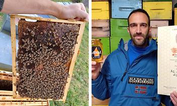 Il primo miele nato nei boschi certificati &egrave; della Valle Sacra: il Canavese apre una strada nuova