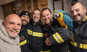 Il pappagallo salvato dai vigili del fuoco nel gelo del bosco