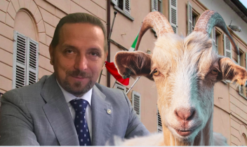 Caprone in fuga tra le strade di Favria: il sindaco lo segue in auto e lo salva