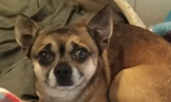 Da Cuorgn&egrave; a Caluso