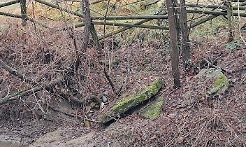 Rio Freidano, l&rsquo;argine cede sotto la staccionata