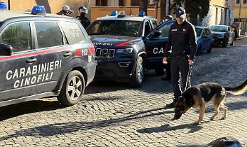 Tortona, minore aggredito