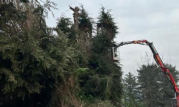 Fotovoltaico all&rsquo;ombra, alberi tagliati e bambini a scuola: a Cossano il cantiere &egrave; una farsa