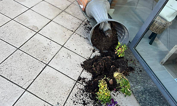 Vandali in festa a Borgofranco: vasi rovesciati, furti e arredi distrutti