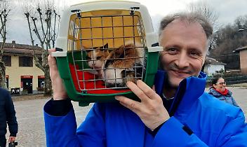 Lauriano tra fede e tradizione: benedizione degli animali e riconoscimenti ai presepi