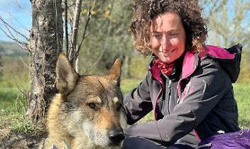 Il valore dell'animo 