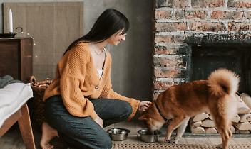 Le case che funzionano non fanno rumore