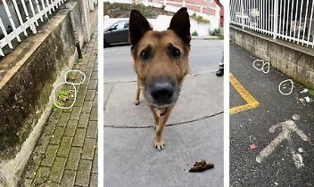 Marciapiedi pieni di cacche di cani vicino all'asilo. Scoppia la protesta in Canavese