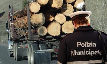 Tir di legname finisce fuori strada a Chieri: traffico rallentato per ore