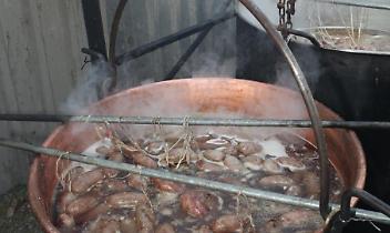 Favria a tavola: la fagiolata di Carnevale diventa festa di comunit&agrave;