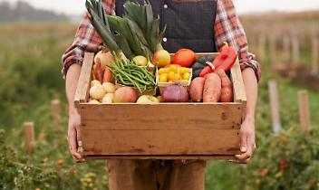 Agricoltura biologica