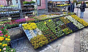 Tra natura e cultura torna la Fiera di San Giuseppe