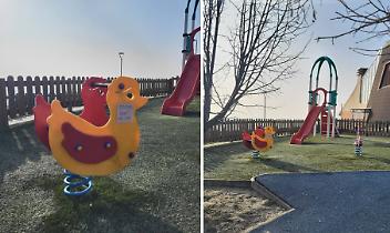 Nido di vespe sotto il gioco dei bimbi: allarme a San Raffaele Cimena