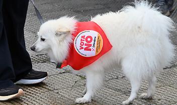 Ivrea, studenti dell&rsquo;Olivetti denunciano &ldquo;propaganda politica&rdquo; durante un incontro sul referendum