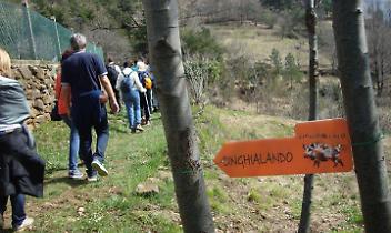 Val della Torre celebra il gusto