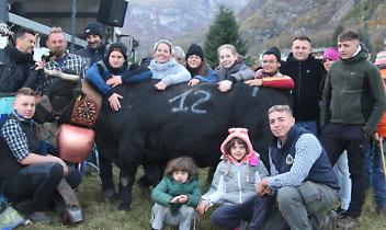Le Reines tornano a sfidarsi