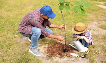 Valperga, gli studenti piantano alberi