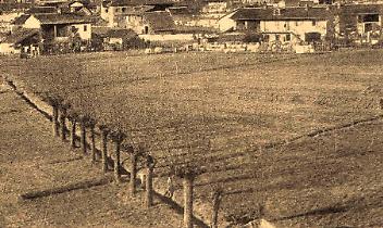 L&agrave; dove stagnava l&rsquo;acqua: la bonifica della palude di Settimo