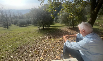 Murisengo punta sugli ulivi: nuova De.Co. agli uliveti del Monferrato