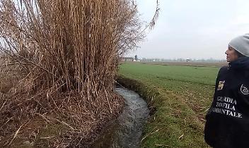 A Settimo Torinese, Borgaro e Caselle comandano i "bracconieri"