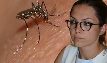 Settimo Torinese: il piano anti-zanzare c'&egrave;, ma scatta troppo tardi?