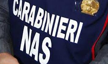 Controlli a tappeto in Val di Susa