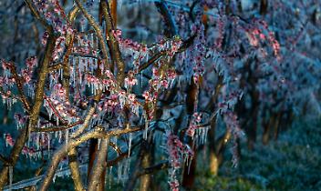 Piemonte, arriva il &ldquo;doppio colpo&rdquo; del meteo: vento forte marted&igrave; e gelo subito dopo