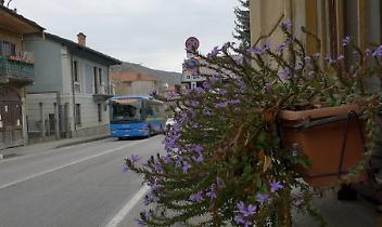 Trasporti, nuova rete extraurbana: il piano entra nella fase decisiva