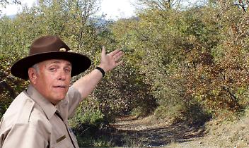 Bosco del Vaj, l&rsquo;Ente Parco replica alle proteste: &ldquo;Lavori necessari dopo l&rsquo;alluvione&rdquo;