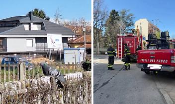 Piccione ferito incastrato in stazione: intervengono i Vigili del Fuoco in Canavese