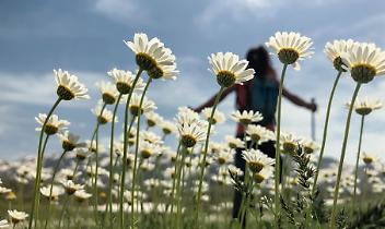 PoMonf Verde per Giovani: da Lauriano parte il circuito tra natura e territorio