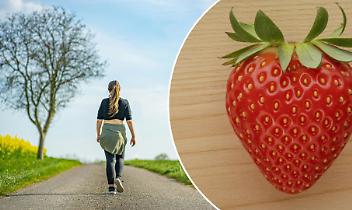 Dal Mulino Sambuy alla Festa delle Fragole: una camminata unisce territorio e solidariet&agrave;